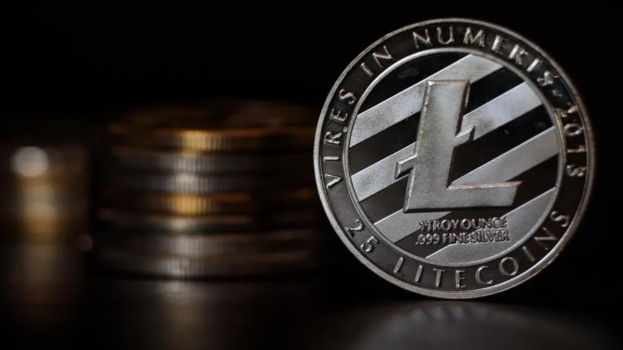 Litecoin-Bewertung